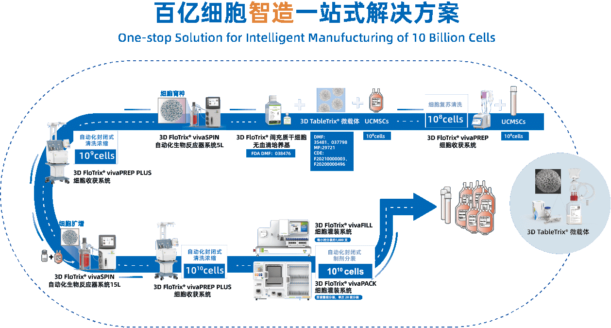 清华大学生物医学工程学院杜亚楠教授团队研发规模化3D细胞制造技术为我国首款干细胞药品上市提供有力技术支撑